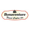 Bonavanture (13)
